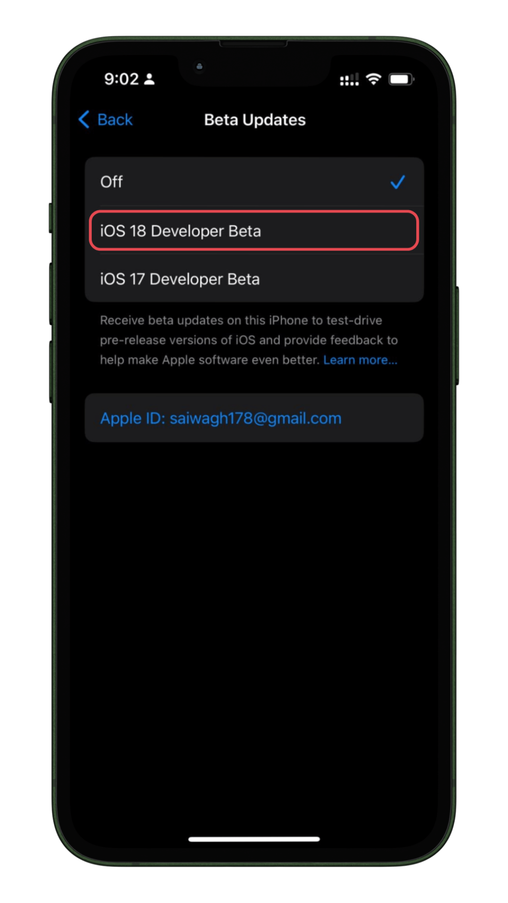 Ios 18 developer beta-3